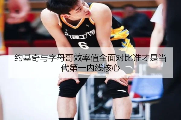 约基奇与字母哥效率值全面对比谁才是当代第一内线核心 | kaiyun